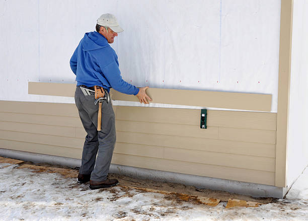 Best Stone Veneer Siding  in Ely, MN